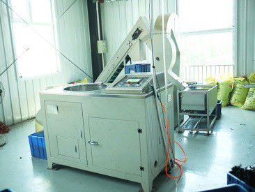 Xingtai Chengzhi Seals Co., Ltd. linha de produção do fabricante