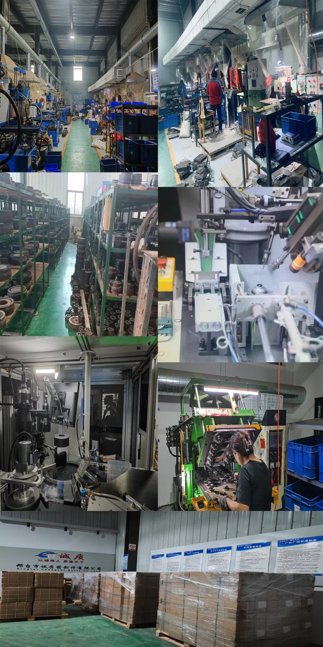 Selo de óleo de absorção de choque para diferentes aplicações e ambientes industriais com normas 17